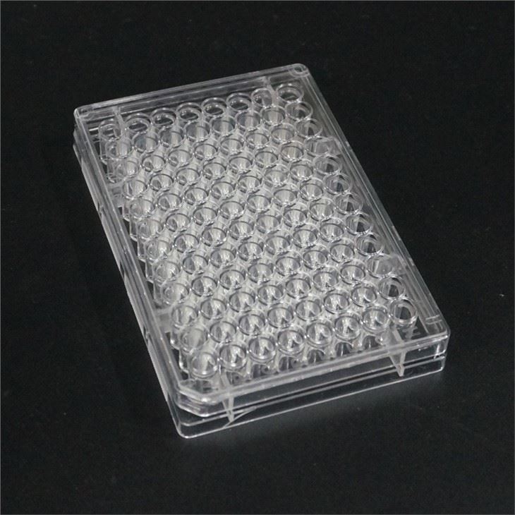 PCR Plate wholesale